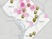 Location of Dual Language and International Baccalaureate Programs