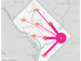 Where Ward 7 Students Attend School